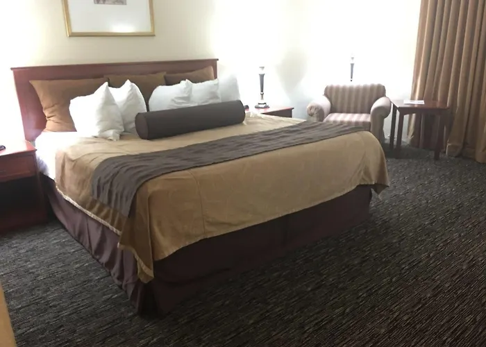 Hotel Chicago Club &